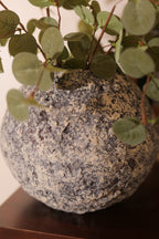 Terra Bowl