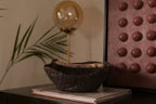 Terra Bowl